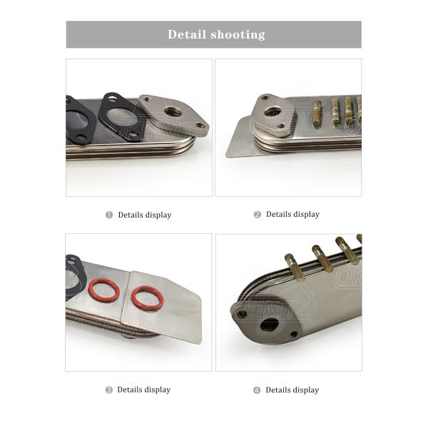 Un equipo más fresco 3201785 de aceite del automóvil K19 de las piezas del camión del motor diesel del alto rendimiento