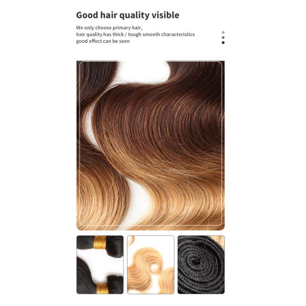 1b 4 27 BW Colored Human Hair Bundles