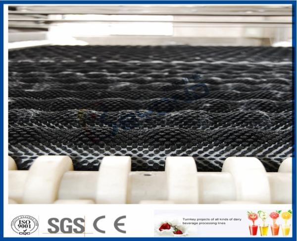 Equipamento de aço inoxidável da trasformação de frutos SUS304 para frutas e legumes de limpeza