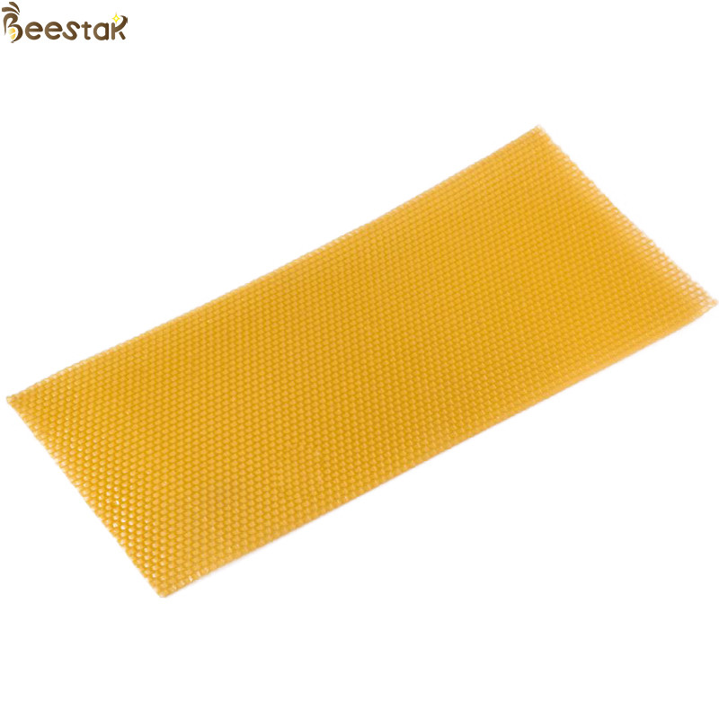 Естественное учреждение Beeswax сота покрывает c органический для делать свечу