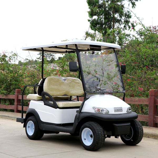 2 Seats Front Electric Golf Carts 5KW AC Asynchronous Motor 48V Lithium Battery