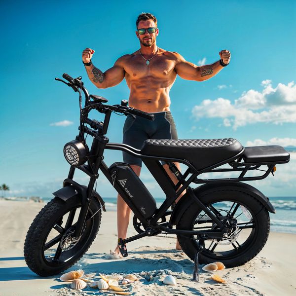 EU Stock R002 Pro DDP Delivery 20A Lithium Battery 105km Electric Fat Tyre Hybrid Cycle Rear Hub Motor Brushless Disc Brakes
