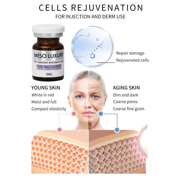 OEM Cosmetic Skin Rejuvenation Repairing Face Skin Booster Hyaluronic Acid Anti Aging Serum Injection 5ml
