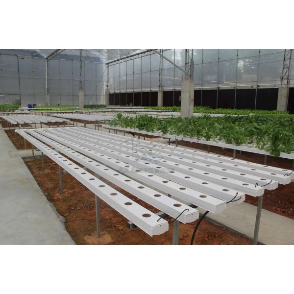 Food-Grade PVC NFT Hydroponic Gully System with UV Inhibitors and Customizable Dimensions for Commercial Greenhouses