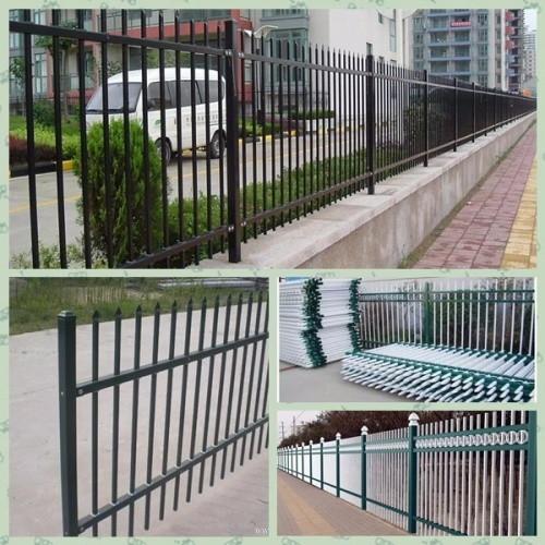 Paliçada de aço do jardim que cerca o pó de aço seguro que reveste a estrutura simples