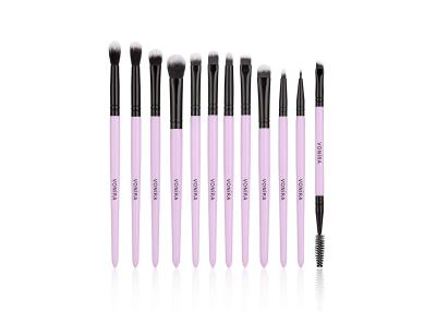 SGS REACH SVHC Qualited Synthetic 12 Pieces Taklon Fiber Eye Makeup Brushes Set