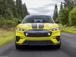 Unique Rally Suspension, Family Car Out Racing Feeling At Ford Mustang Mach-E