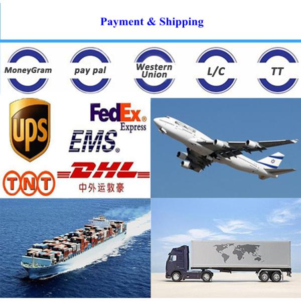 Indoor Branch Bunch Fiber Optic Jumper 12 Core 24 Core 48 Core With LC FC SC ST Connector