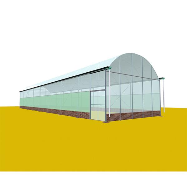 Solar Gray Polycarbonate Sheet Greenhouse For Aquaponics Farming System