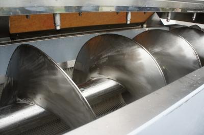 Walnut Cassava Peeling And Washing Machine Vegetable Potato Washer And Peeler Machine