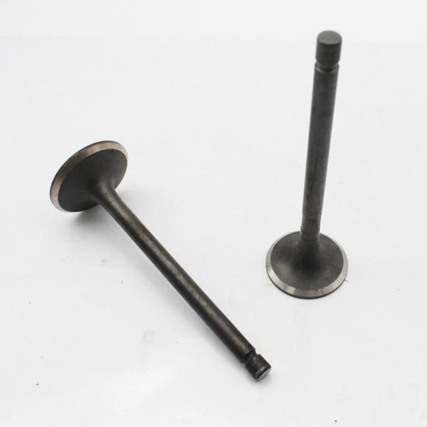 Клапан двигателя дизеля 17111-13120 вытыхания входа V2403 17111-13110 подходящее Kubota