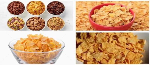 La fruta del desayuno coloca/la línea de transformación de las avenas del cereal con estándar del CE