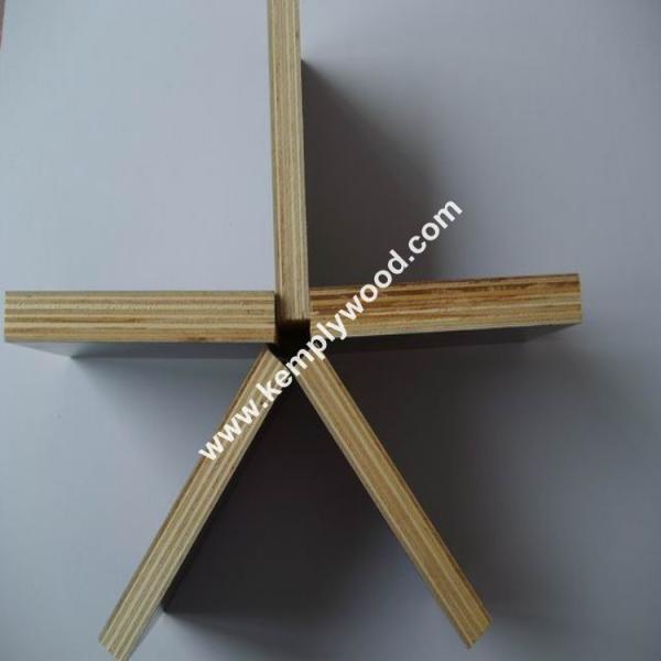 Two times hot press combi core 15times usage brown film faced plywood,two times hot pressed shuttering plywood