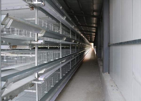 Poultry Farm H Type Layer Chicken Cage Scientific Designed High - Density Raising