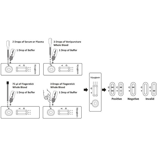 Gold Colloidal Myoglobin Blood Test Home High Accuracy Kit Qualitative Detection