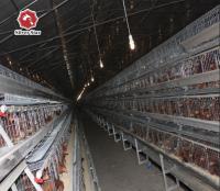 Tipo quente e frio da capacidade 120 da bateria da galinha da gaiola A