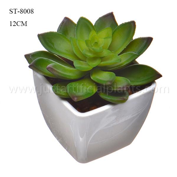 Planta decorativa do verde suculento de imitação realístico da flor do falso no potenciômetro plástico