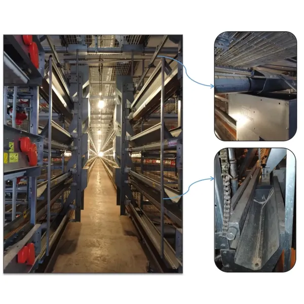 Galvanized Steel H Type Battery Layer Cages with Modular Structure and Automated Feeding for Poultry Farming