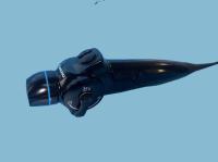 Rhinolaryngoscope vidéo flexible ENF-V2 Images de haute qualité avec une insertion lisse