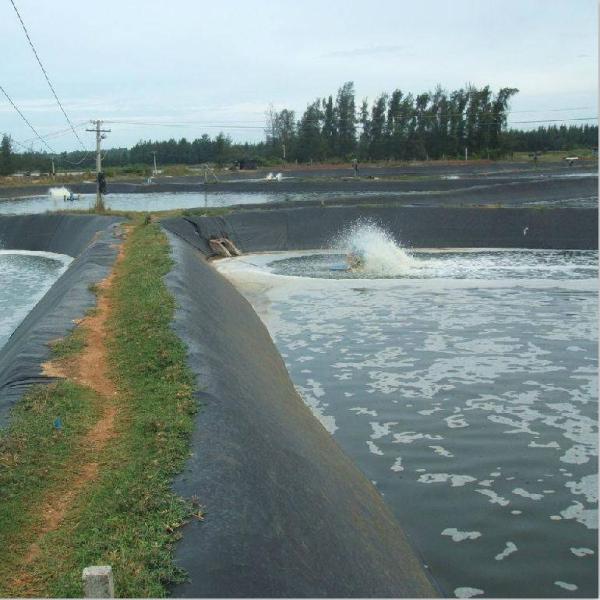 2m-8m Width HDPE Geomembrane Dam Liner Fish Farm Pond Plastic Liner Geomembranas
