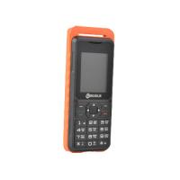 2200mAh Li Ion Battery Phone Anti Jamming DLNA petit non Smartphone