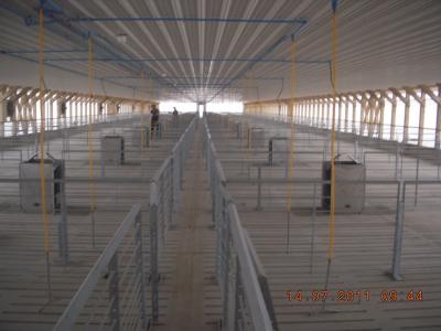 Tenda de parada da engorda durável do equipamento agrícola do porco para mais do que o porco 40kgs
