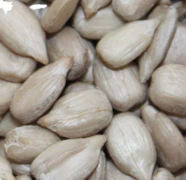 Produtores chineses grátis de sementes de girassol de qualidade de confeitaria para lanche