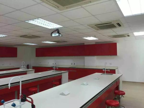 Banco 800mm da mobília do laboratório de química da mobília Ss304 do laboratório da escola comercial