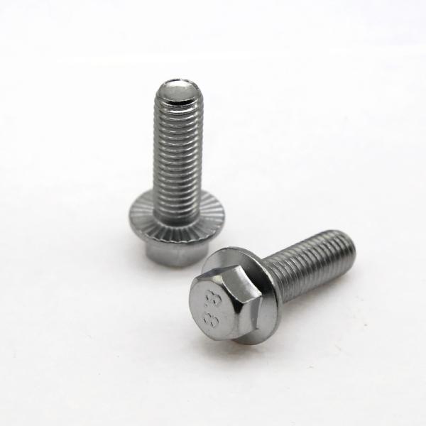 Stainless Steel Anti Slip Bolt Screws Customization Flange Face Screws