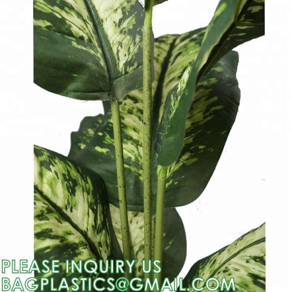 Artificial Green Dieffenbachia Plant 2 Pack - Faux Indoor Plant Spray - EverGreen Greenery For Home Or Office Decor