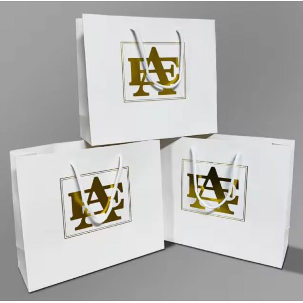 Paper Bag Custom Printed Logo Luxury Clothing Shopping Paper Bags Boutique Recyclable Gift Bag With Ribbon Rope