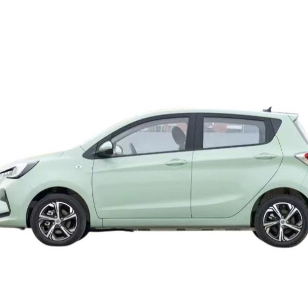 Green Color Mini EV Cars Changan Benben Ev 300KM Max Speed 101 Km/H