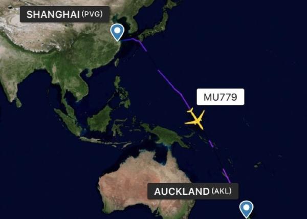 Competitive Rates Air Freight Shipping China To AKL Air Cargo Companies