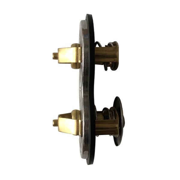 P420 0,5 kg Scania Pequeno camião Peças sobressalentes Motor Termostato 1404924 Termostato de refrigerante