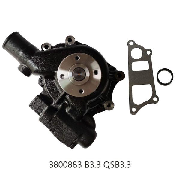 Engine Parts Water Pump 3800883 Fits Cummins B3.3 QSB3.3 CM2150