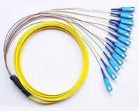 FC,LC,SC 12 cores singlemode G652D bundle fiber optic pigtail,yellow cable,0.9mm inner cable
