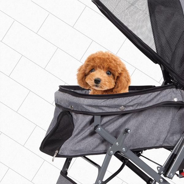 Fancy Dog Collar Harness And Leash Set For Daily Walking