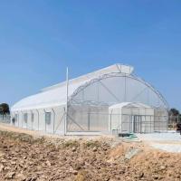 La serre chaude galvanisée par parapluie encadre le conduit automatique de tunnel tropical simple d'envergure
