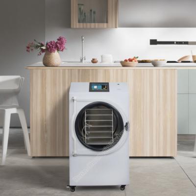 SUS 304 Household Vacuum Freeze Dryer Lab Freeze Dryer PLC Control system