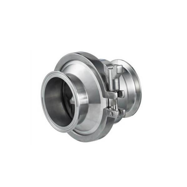 High Sanitation Stainless Ball Check Valve , Hygienic Check Valves For Water