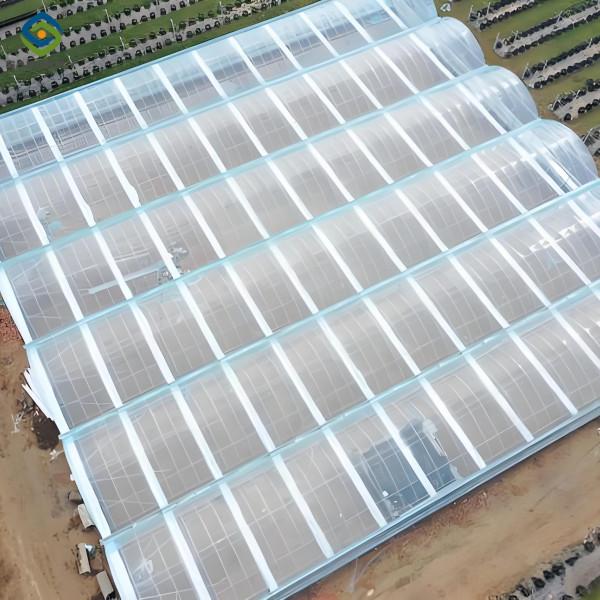 Venlo Type Strong Frame Hdyroponic Strawberry Greenhouse High Yield