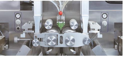Óleo de peixe DHA Soft Gel Capsule Equipamento de Fabricação Pequeno Médio Grande Matriz Rotativa