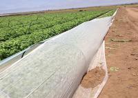 Matériel 100% non tissé agricole anti-vieillissement de polypropylène de couverture de culture