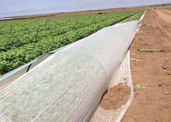 Cores não tecidas de pouco peso da tela da agricultura várias disponíveis