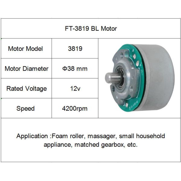 FT-3819 High Torque BLDC Electric Motor Low Noise 38*19mm Size