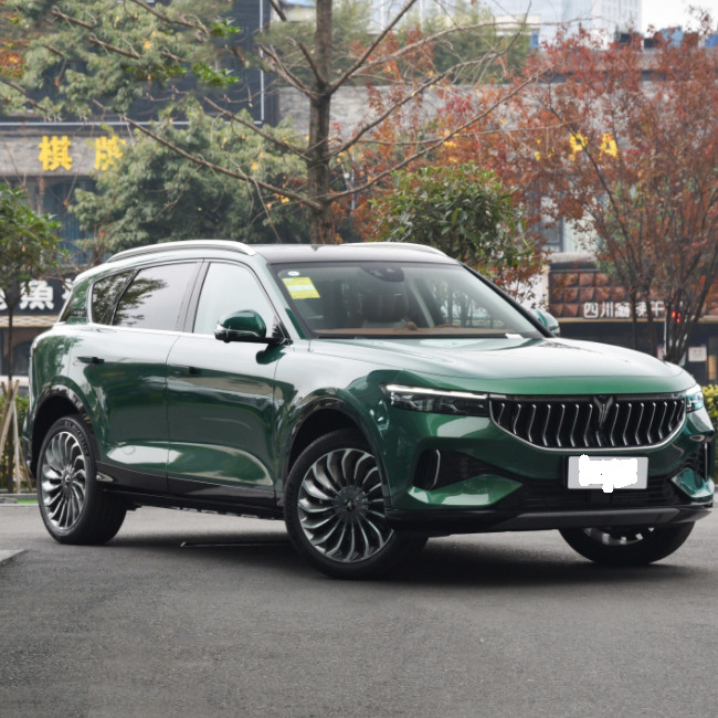 Середина версии SUV свободного 2021 2 привода VOYAH чистая электрическая большая