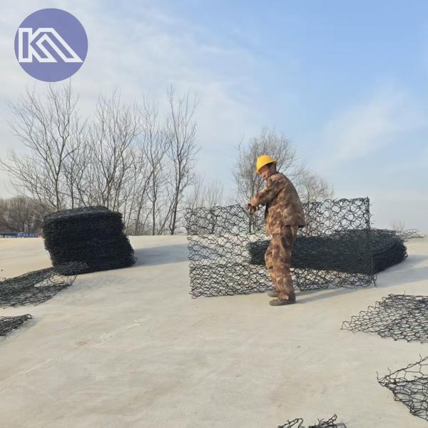 275 g de cages en gabion galvanisées revêtues de zinc avec treillis métallique