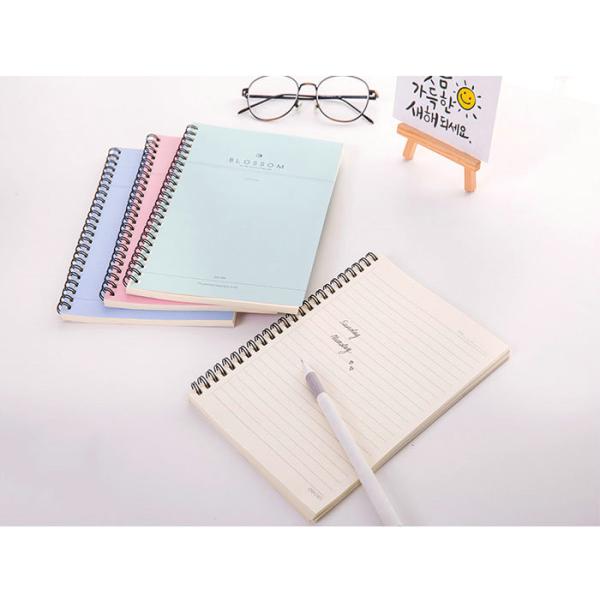 Бумага Воодфре девственницы качества еды УВФ 80 гсм к 120 гсм ОБА освобождает размер 40