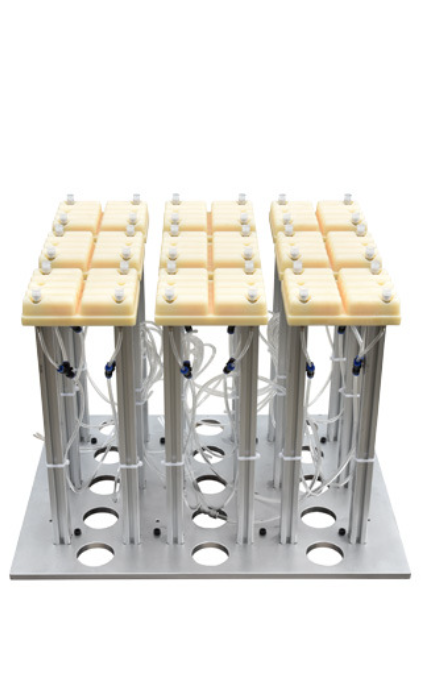 Customized Thermoforming Plastic Mold Supplier for Producing Disposable Plastic Cups and Lid, Eggs Box, Fruit Box, Cake Box, Meal Box