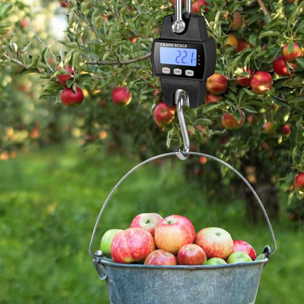 ODM Supported Electronic Crane Scale with 300kg Capacity and LCD Display for Heavy-Duty Weighing in Industrial Environments